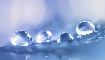 Poster Mooie grote transparante waterdruppels of regenwater op blauwe zachte achtergrond, macro met spiegelreflectie. Elegante delicate artistieke afbeelding natuur. © Laura Pashkevich