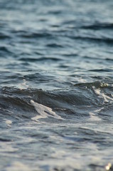 Sunny Sea Ocean Blue Water Waves Closeup Macro Nature
