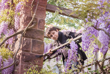 Fototapete bei efototapeten.de bestellen   