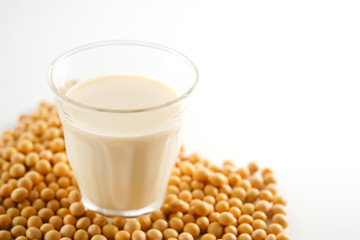 豆乳