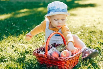 Child eating fruits peaches and grapes from a basket in a park in summer