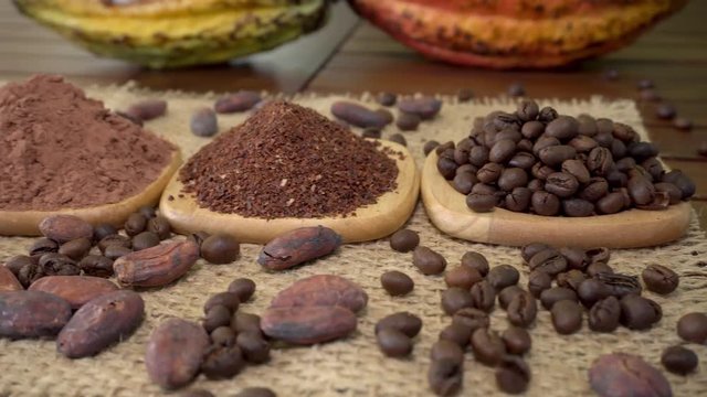 Coffee beans, cacao nibs, cocoa powder, raw cocoa fruit, cacao beans on burlap