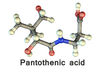 Molecular model of pantothenic acid, vitamin B5, 3D illustration. It has antioxidant activity, is a part of the vitamin B2 complex and component of coenzyme A, CoA