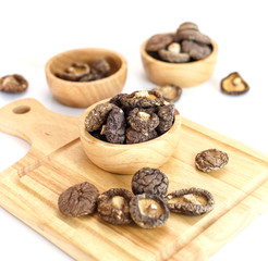Group of dry mushroom