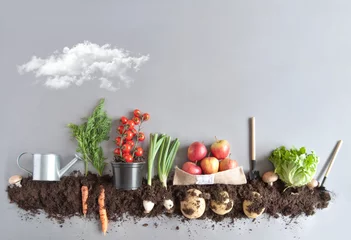 Papier Peint photo autocollant Légumes Jardin de fruits et légumes