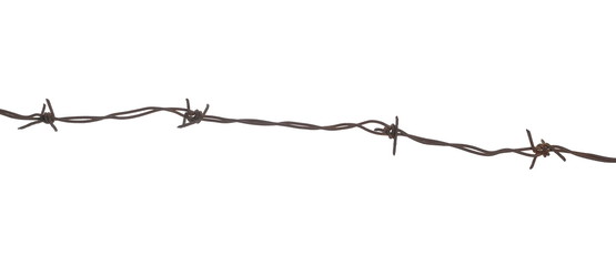 Old rusty security barbed wire fence isolated on white background and texture - obrazy, fototapety, plakaty