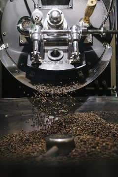 Freshly Roasted Coffee Beans Falling from Roaster into Cooling Tray
