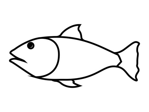 fish food isolated icon vector illustration design