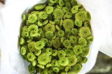Green chrysanthemum flowers in a bouquet at a flower market