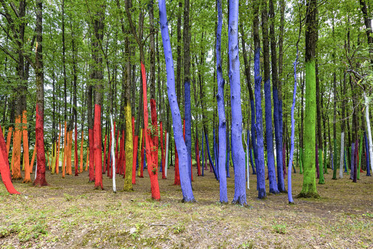 Daylight view to a summer forest with colorful painted trees