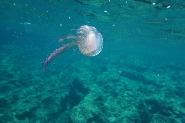 Fornells - Menorca - Baleares Islands - Spain