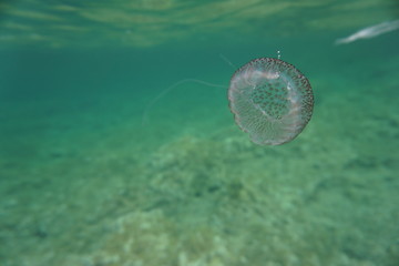 Fornells - Menorca - Baleares Islands - Spain