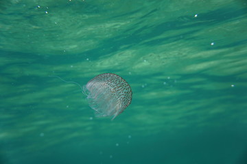 Fornells - Menorca - Baleares Islands - Spain