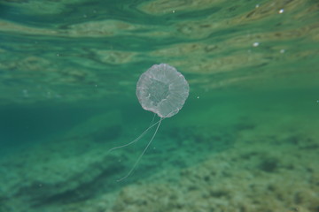 Fornells - Menorca - Baleares Islands - Spain