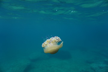 Fornells - Menorca - Baleares Islands - Spain