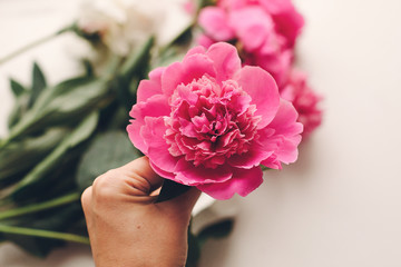 hand holding lovely pink peony and peonies on rustic old white wooden window in light, space for text. top view. floral greeting card. rural country image. shabby chic concept