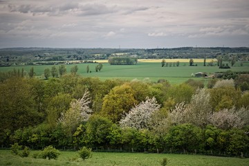 Landscape view on fields