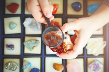 The child looks at his collection of minerals. The little geologist.