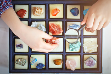 The child looks at his collection of minerals. The little geologist.