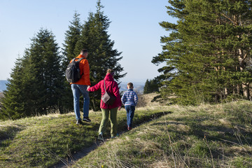 family of three people, mom, dad, son walking along the path among trees, people in the nature