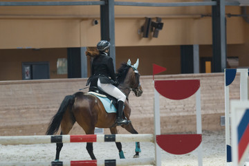 Rear view of female equestrian rider running on stallion at show jumping competition