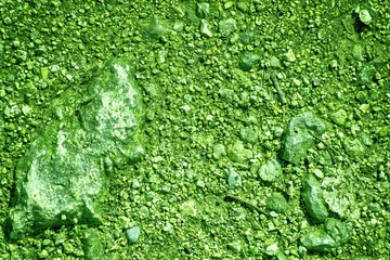 Ultra green Ground like on Mars, land texture, sand surface, stone background
