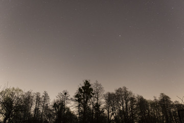 Fototapeta na wymiar Night sky with stars and forest.