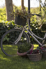 Fototapeta na wymiar decorative bicycle by the lake . spring flowers .