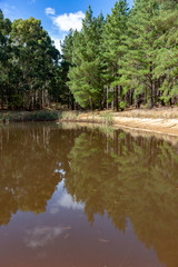 A dam in the Kuipto forest with trees reflecting in Willunga South Australia on 25th April 2018