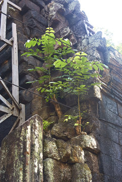 Prasat Banteay pir chean temple Angkor era