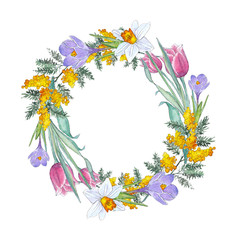 Watercolor hand-drawn round frame with spring flowers (tulip, mimose, crocus, narcissus) on white background