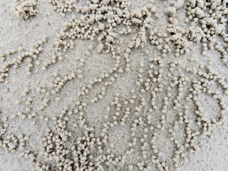 Burrow or hole with sediment balls or pellets made by sand where food was digested by ghost or sand crab show natural abstract form and texture.