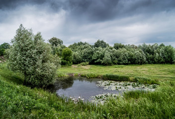 Fototapeta na wymiar Dark cloudy sky over a small lake surrounded by trees, sedges and grass_