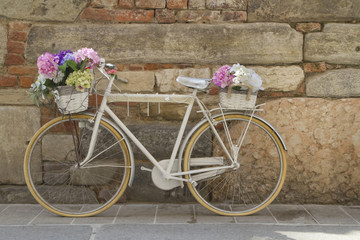 Fototapeta na wymiar Bicicletta con Fiori per Strada, Bicycle with Flowers in the Street