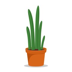 Cactus houseplant in flower pot. Cactus icon in a flat style on a white background. Succulent plant. Vector illustration