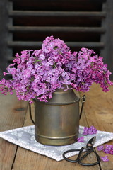 Fliederstrauss in der alten Milchkanne
