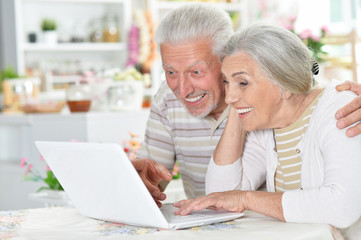 happy senior couple using  laptop 