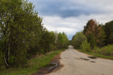 Fototapeta na wymiar Beautiful spring forest road in the Middle Urals, russia
