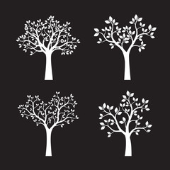 Set of white Trees with Leaves. Vector Illustration.