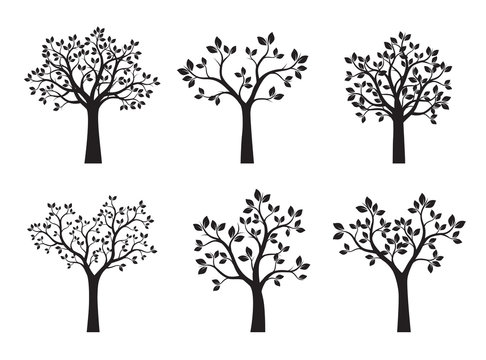 Set of black Trees with Leaves. Vector Illustration.