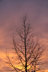 Sunset Over Vancouver City, BC, Canada