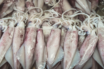 Obraz premium Pile of squid for sale in fish market, Thailand