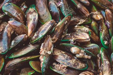 Fresh mussels in fish market, Thailand © vissawes
