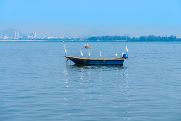 Egret in fishing boat floating on the sea