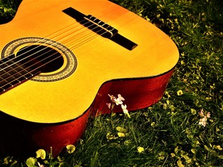 A Moment with Guitar