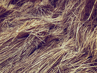 Dry straw for cattle and buffaloes