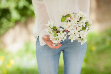 woman hands holding apple blossom in her hands, can be used as background