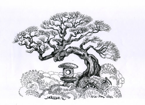A tree of bonsai in the garden.