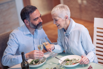 Mature couple toasting with wine while having lunch at their home