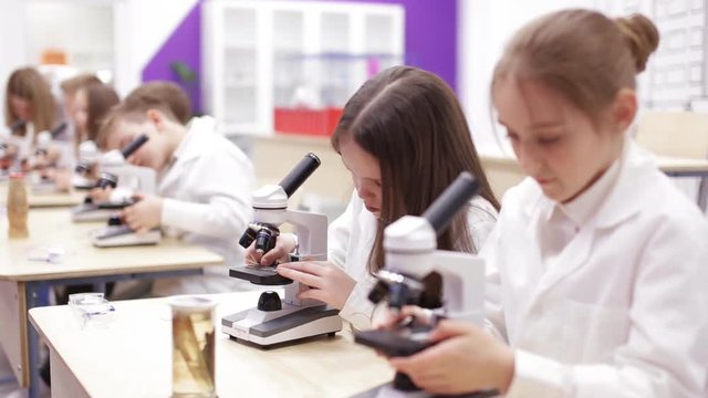 Elementary school biology class. Children studing biology in school laboratory.